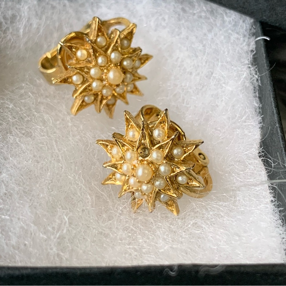 Vintage Clip on Earrings